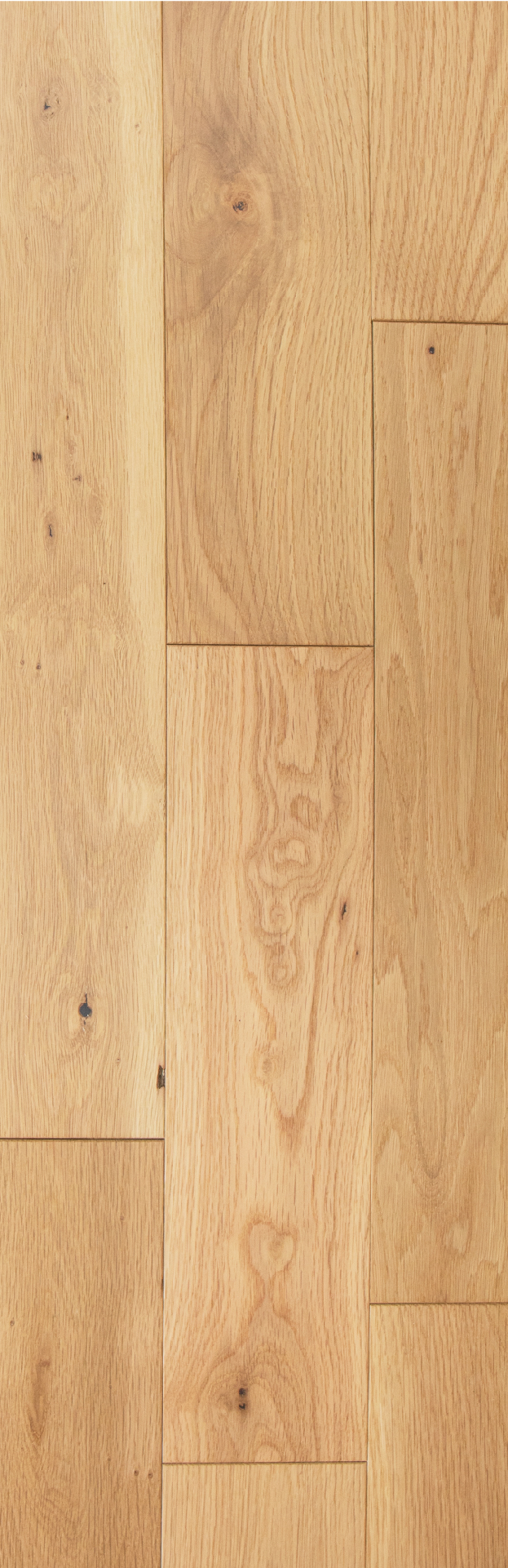 ナラ | 株式会社スズキ 